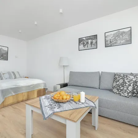 Mountain Corner In By Renters Apartment Zakopane